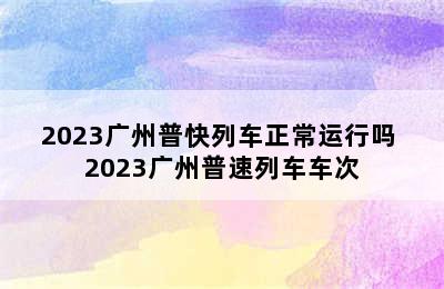 2023广州普快列车正常运行吗 2023广州普速列车车次